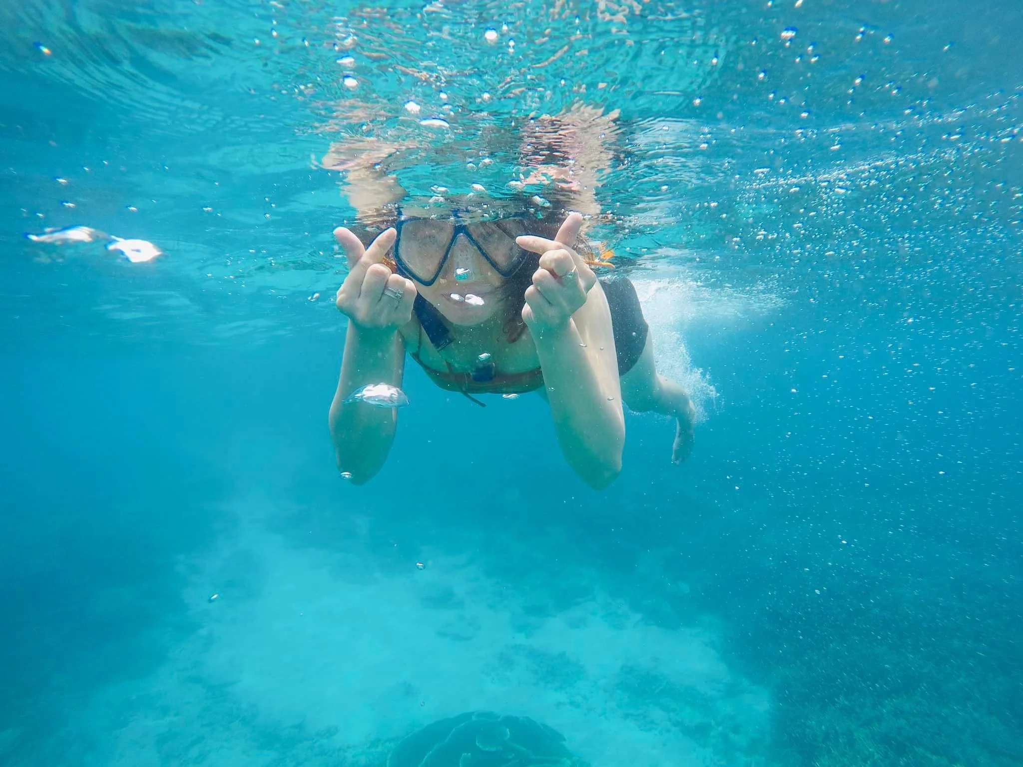 2D1N | Turtles Lay Eggs, release Baby Turtles and snorkeling in Con Dao